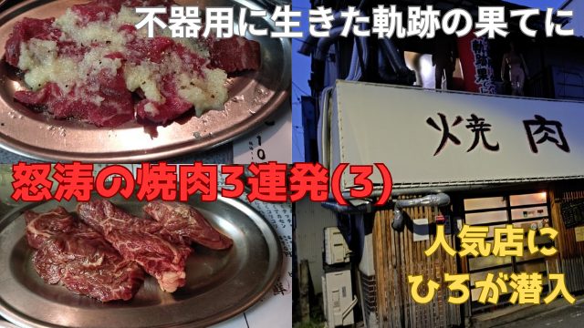 Thumbnail of post image 047